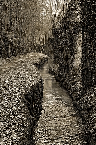 0612 AVESNOIS 12026 01W.jpg