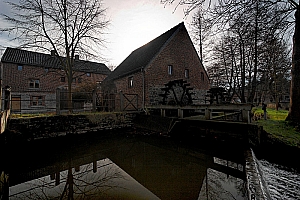 20070304_LESSIVE_12453_01W.jpg