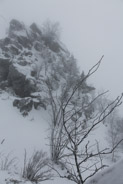 15 février 2013