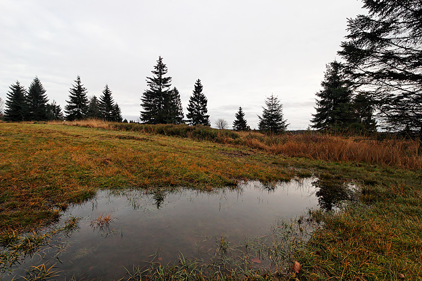 061118 FAGNES 11471_DXO01W.jpg