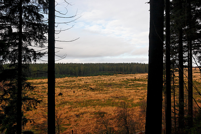 061118 FAGNES 11472_DXO01W.jpg