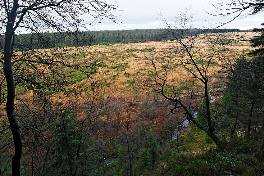 061118 FAGNES 11473_DXO01W.jpg