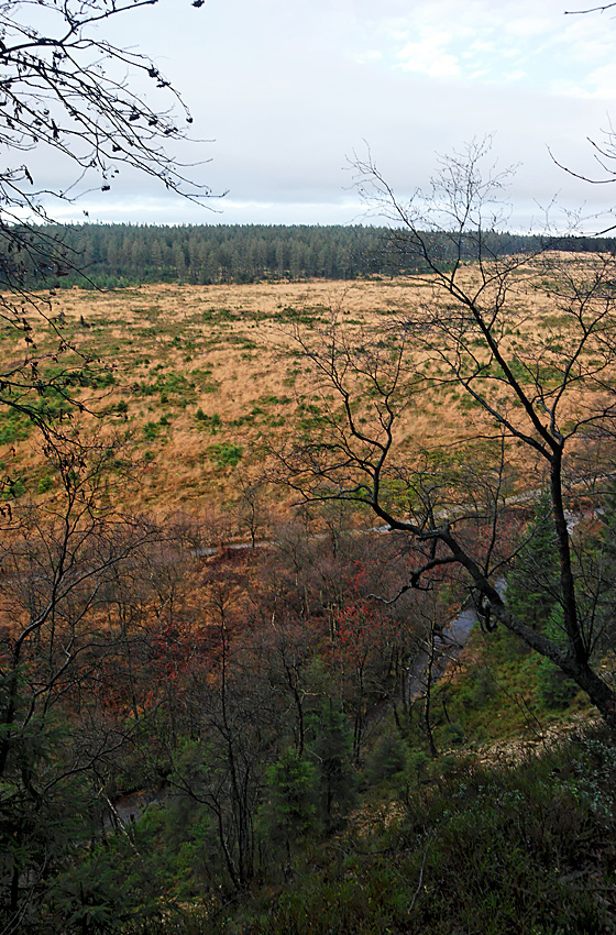 061118 FAGNES 11475_DXO01W.jpg