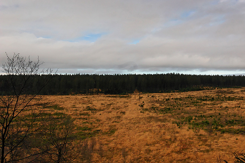 061118 FAGNES 11483_DXO01W.jpg