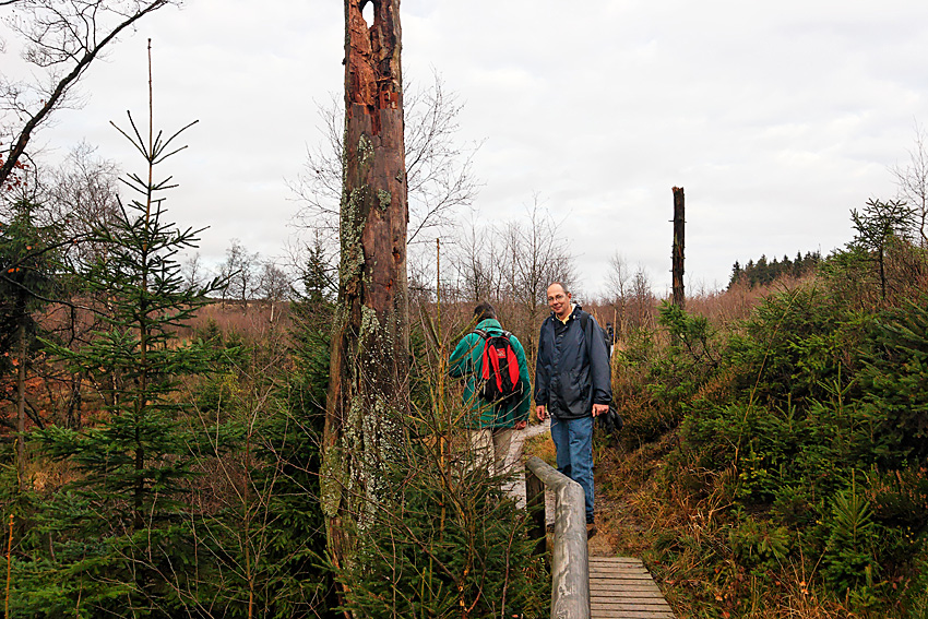 061118 FAGNES 11488_DXO01W.jpg