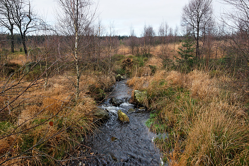 061118 FAGNES 11495_DXO01W.jpg