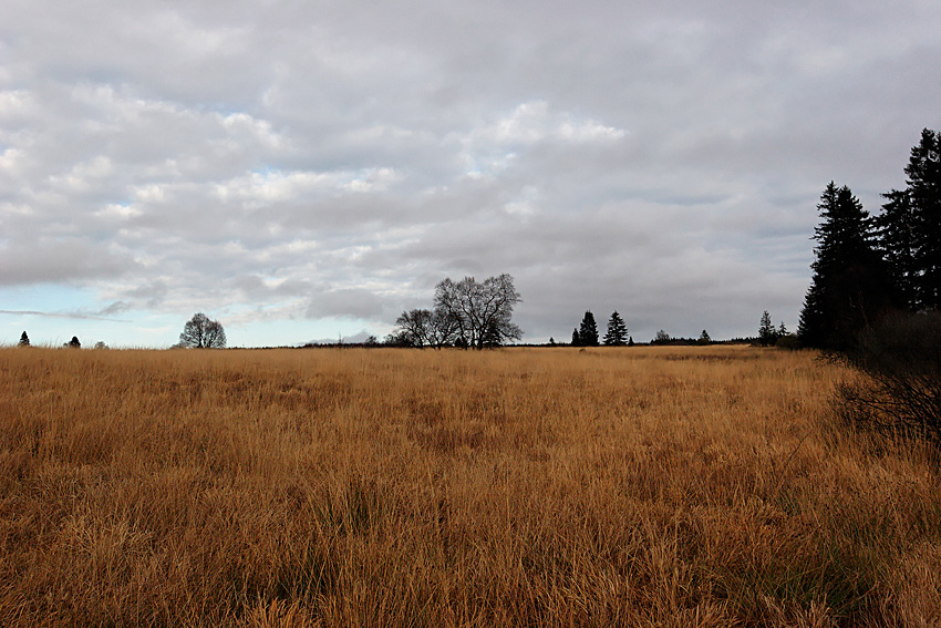 061118 FAGNES 11501_DXO01W.jpg