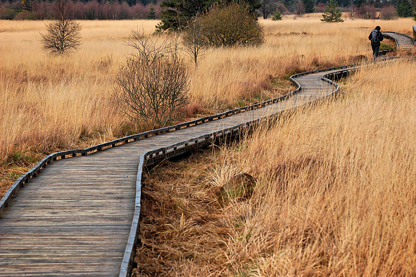 061118 FAGNES 11506_DXO01W.jpg