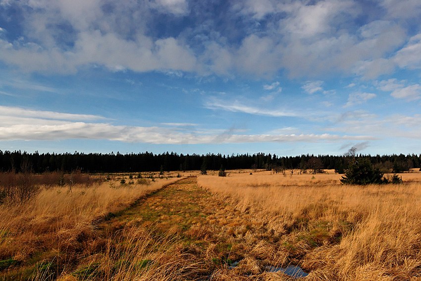 061118 FAGNES 11508_DXO01W.jpg