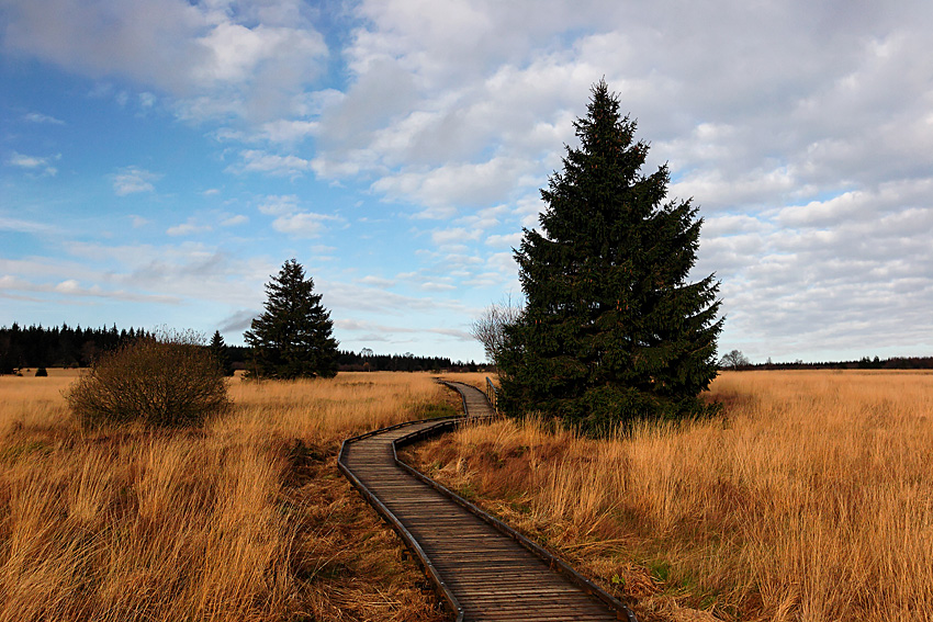 061118 FAGNES 11509_DXO01W.jpg