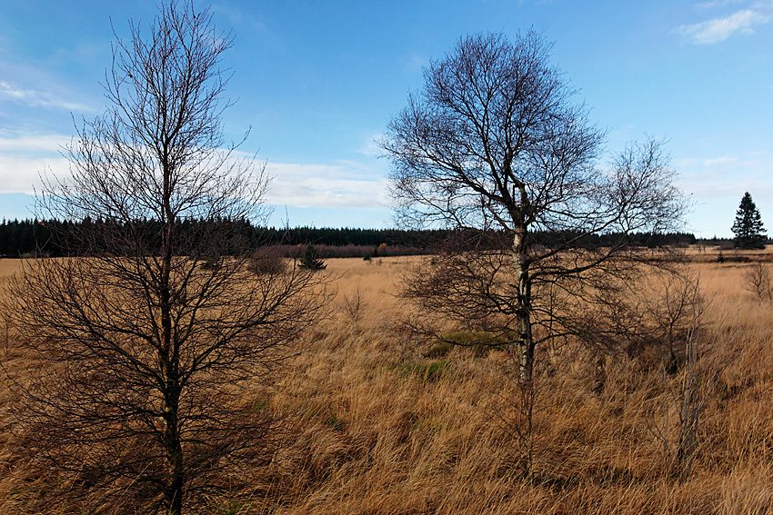 061118 FAGNES 11510_DXO01W.jpg