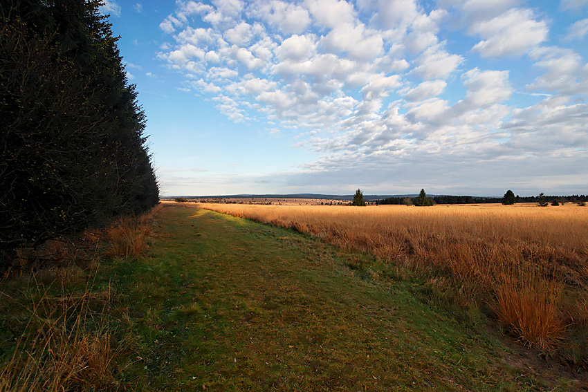 061118 FAGNES 11514_DXO01W.jpg