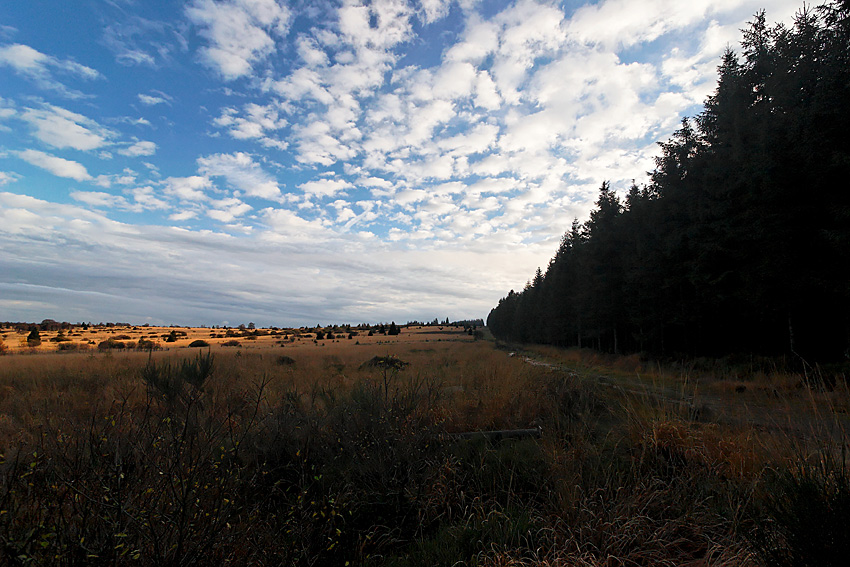 061118 FAGNES 11523_DXO01W.jpg