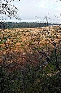 061118 FAGNES 11475_DXO01W.jpg