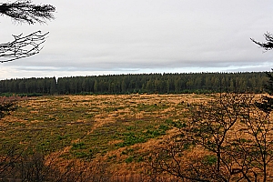 061118 FAGNES 11478_DXO01W.jpg