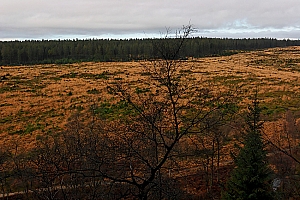 061118 FAGNES 11481_DXO01W.jpg