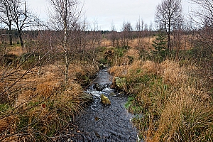 061118 FAGNES 11495_DXO01W.jpg