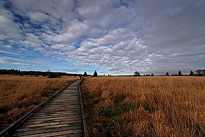 061118 FAGNES 11503_DXO01W.jpg