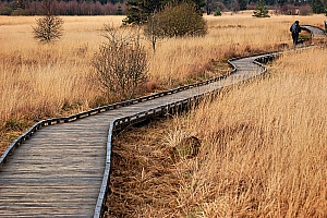 061118 FAGNES 11506_DXO01W.jpg