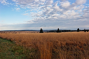 061118 FAGNES 11512_DXO01W.jpg