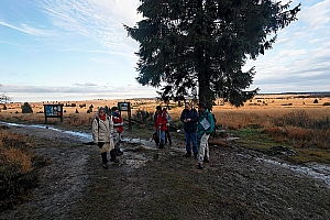 061118 FAGNES 11534_DXO01W.jpg