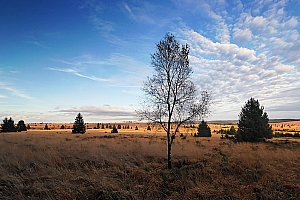 061118 FAGNES 11537_DXO01W.jpg