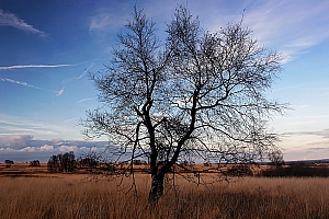 061118 FAGNES 11540_DXO01W.jpg