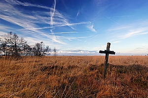 061118 FAGNES 11542_DXO01W.jpg